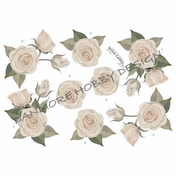 3D Ark Quick Cards Hvid Rose Blomster Rkfestudlejning Dk