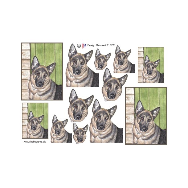 Schferhunde hoved, 2 strrelser i firkantet ramme, HM design