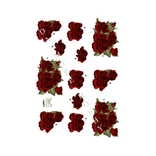Dan-design rde roser