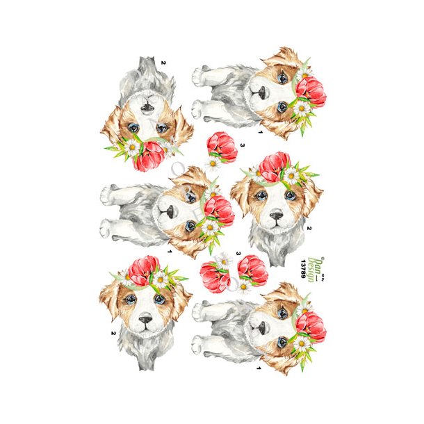 hundehvalp med blomst